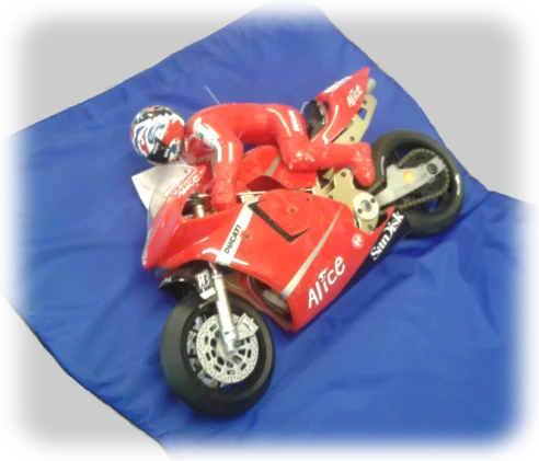 1/5th size Motorbike fits easily in carrier with or without side bars